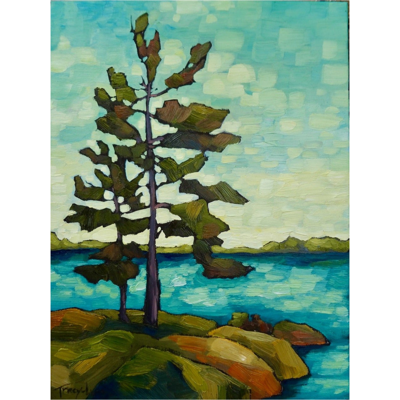 'Turquoise Shore'