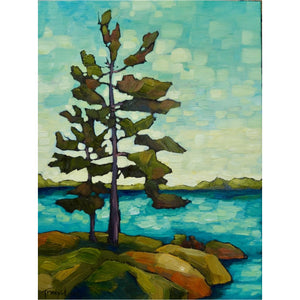 'Turquoise Shore'