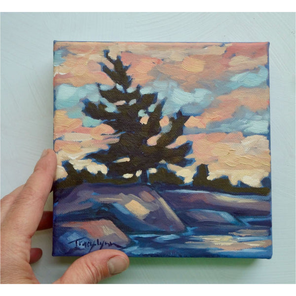 Landscape studies