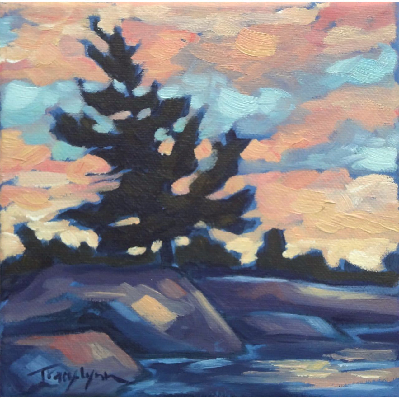 Landscape studies