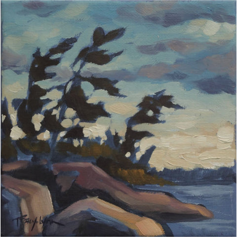 Landscape studies